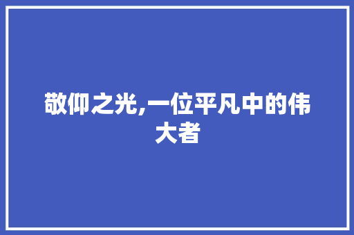 敬仰之光,一位平凡中的伟大者 综述范文