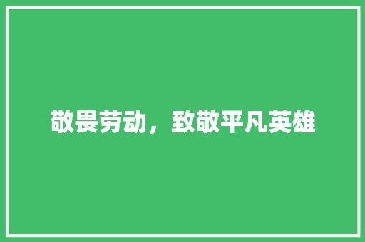 敬畏劳动，致敬平凡英雄