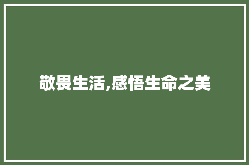 敬畏生活,感悟生命之美