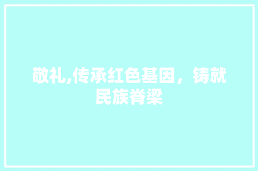 敬礼,传承红色基因，铸就民族脊梁