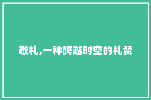 敬礼,一种跨越时空的礼赞