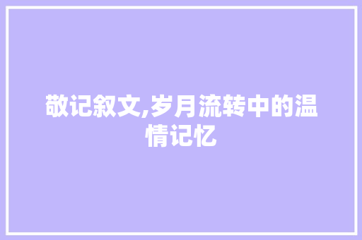 敬记叙文,岁月流转中的温情记忆