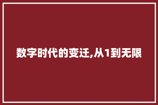 数字时代的变迁,从1到无限