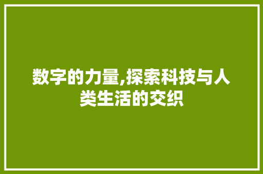 数字的力量,探索科技与人类生活的交织 综述范文