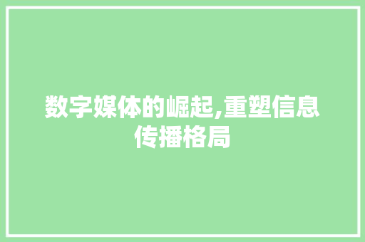 数字媒体的崛起,重塑信息传播格局