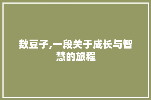 数豆子,一段关于成长与智慧的旅程