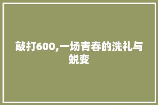 敲打600,一场青春的洗礼与蜕变