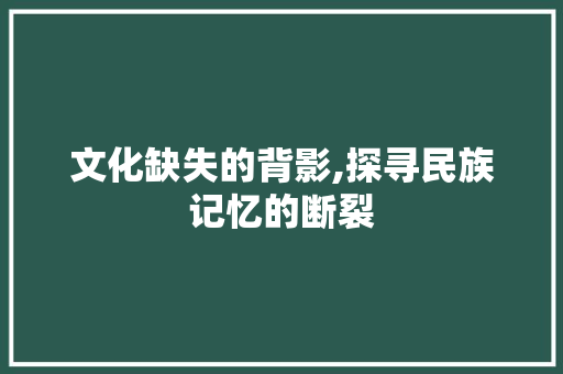 文化缺失的背影,探寻民族记忆的断裂