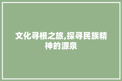 文化寻根之旅,探寻民族精神的源泉