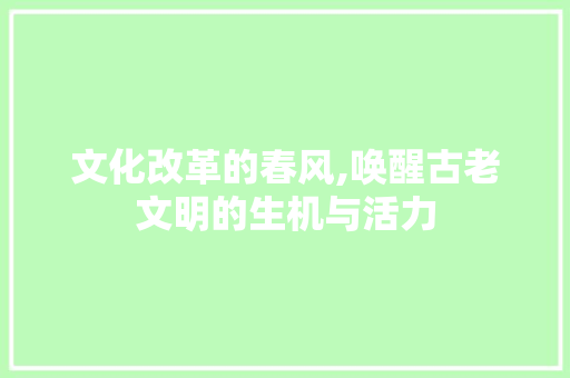 文化改革的春风,唤醒古老文明的生机与活力