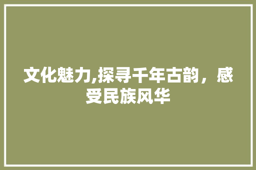 文化魅力,探寻千年古韵，感受民族风华