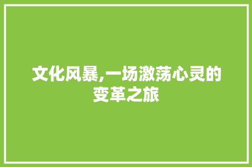 文化风暴,一场激荡心灵的变革之旅