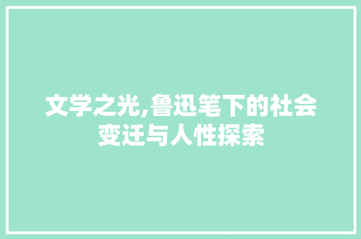 文学之光,鲁迅笔下的社会变迁与人性探索