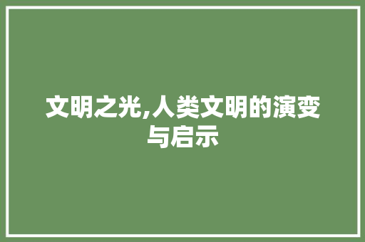 文明之光,人类文明的演变与启示