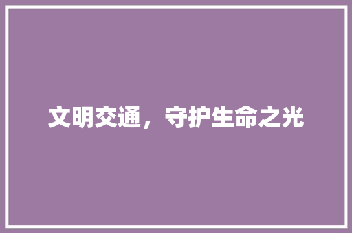 文明交通，守护生命之光