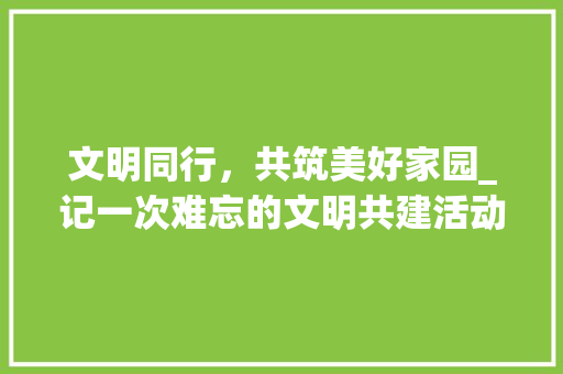 文明同行，共筑美好家园_记一次难忘的文明共建活动