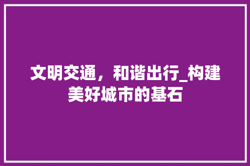 文明交通，和谐出行_构建美好城市的基石