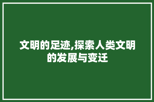 文明的足迹,探索人类文明的发展与变迁