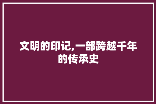 文明的印记,一部跨越千年的传承史