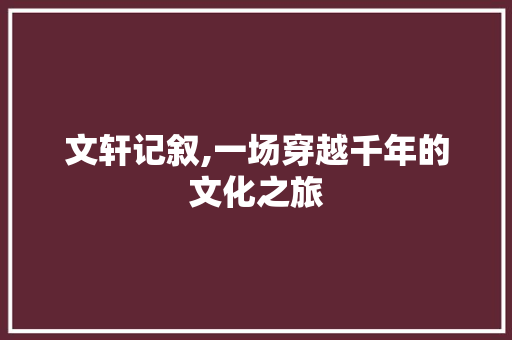 文轩记叙,一场穿越千年的文化之旅