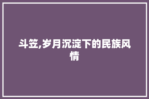 斗笠,岁月沉淀下的民族风情