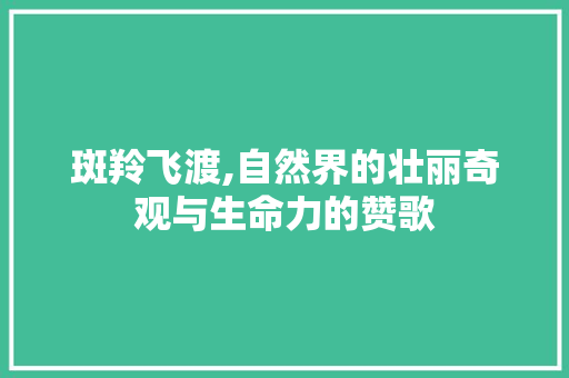 斑羚飞渡,自然界的壮丽奇观与生命力的赞歌