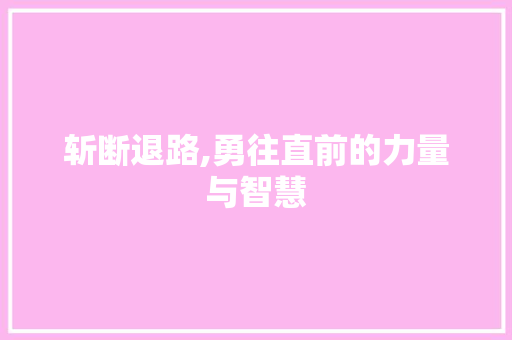 斩断退路,勇往直前的力量与智慧