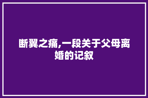 断翼之痛,一段关于父母离婚的记叙