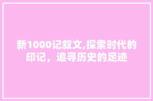 新1000记叙文,探索时代的印记，追寻历史的足迹