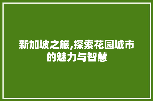 新加坡之旅,探索花园城市的魅力与智慧