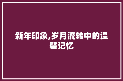 新年印象,岁月流转中的温馨记忆