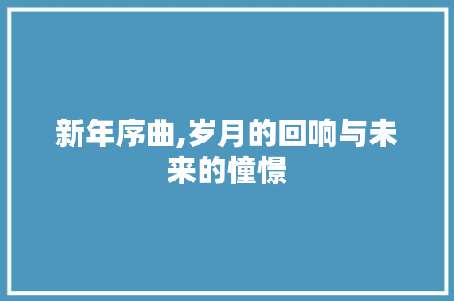 新年序曲,岁月的回响与未来的憧憬