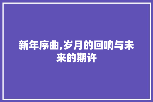 新年序曲,岁月的回响与未来的期许