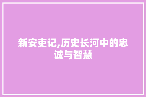 新安吏记,历史长河中的忠诚与智慧