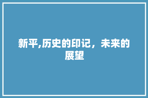 新平,历史的印记，未来的展望