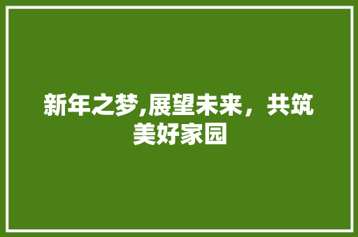 新年之梦,展望未来，共筑美好家园