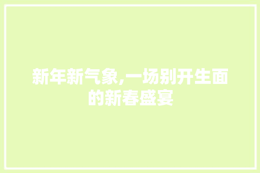 新年新气象,一场别开生面的新春盛宴