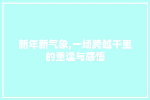 新年新气象,一场跨越千里的重逢与感悟