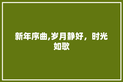 新年序曲,岁月静好，时光如歌