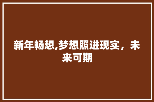 新年畅想,梦想照进现实，未来可期