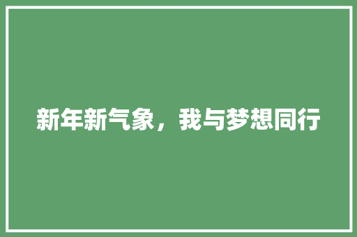 新年新气象，我与梦想同行