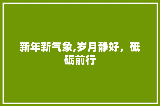 新年新气象,岁月静好，砥砺前行