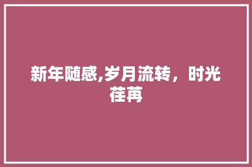 新年随感,岁月流转，时光荏苒