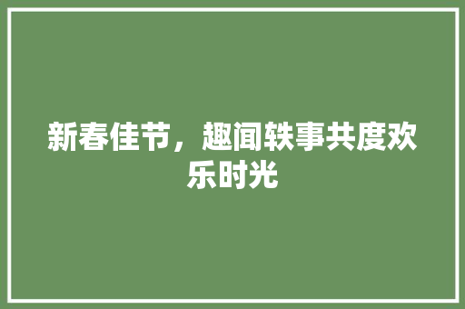 新春佳节，趣闻轶事共度欢乐时光