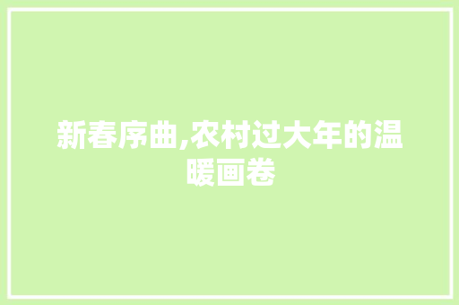 新春序曲,农村过大年的温暖画卷