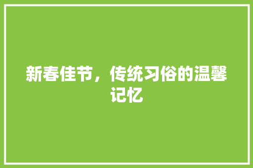 新春佳节，传统习俗的温馨记忆