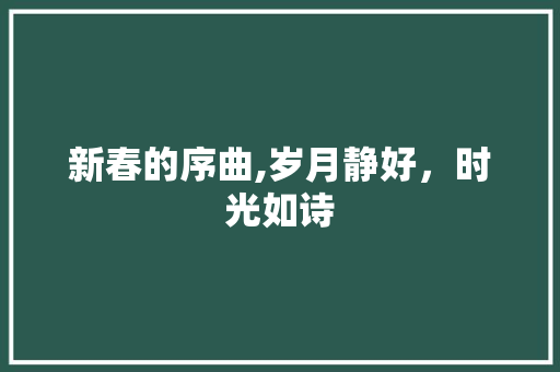 新春的序曲,岁月静好，时光如诗