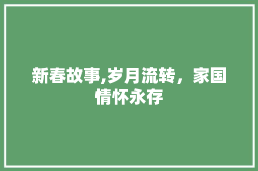 新春故事,岁月流转，家国情怀永存