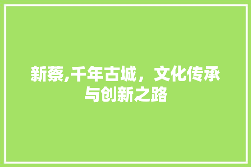 新蔡,千年古城，文化传承与创新之路