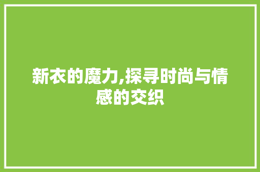 新衣的魔力,探寻时尚与情感的交织